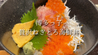 【川口】樹モールプラザの博多っ子で、贅沢ねぎとろ海鮮丼を堪能！コスパも大満足