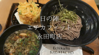 【永田町駅】エチカフィットで鴨汁そば。海鮮かき揚げも追加して大満足